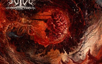 NYN – Entropy: Of Chaos and Salt